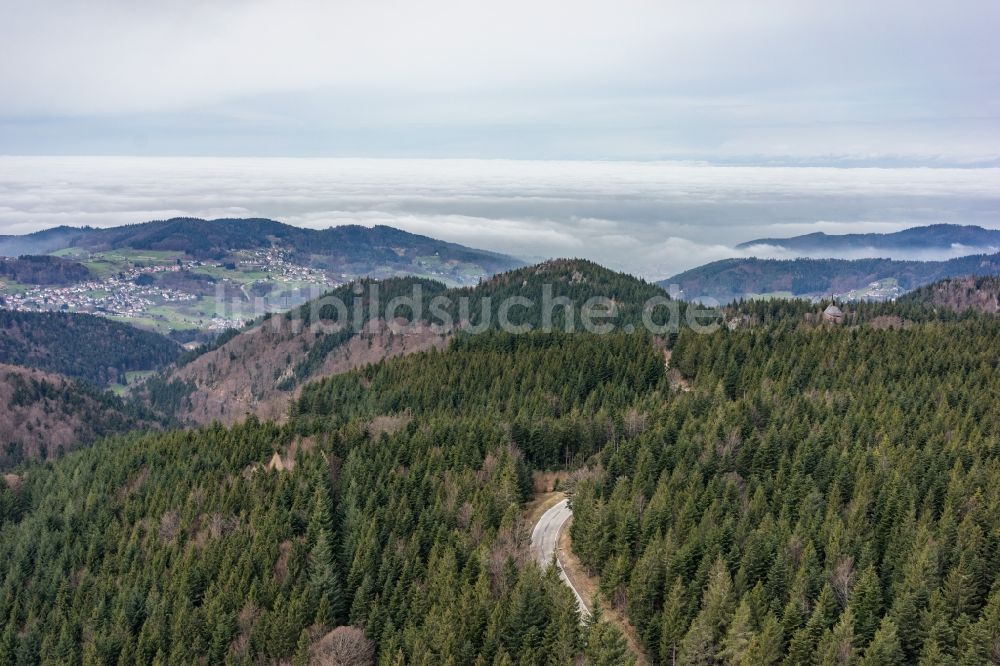Sasbachwalden aus der Vogelperspektive: Wald und Berglandschaft im Schwarzwald in Sasbachwalden im Bundesland Baden-Württemberg