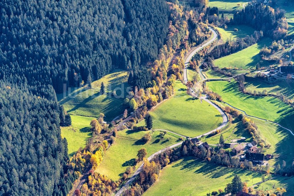 Alpirsbach aus der Vogelperspektive: Wald und Berglandschaft, Tal der oberen Kinzig in Alpirsbach im Bundesland Baden-Württemberg, Deutschland