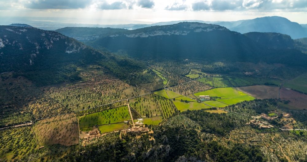 Luftbild Valldemossa - Wald und Berglandschaft in Valldemossa in Balearische Insel Malorca, Spanien