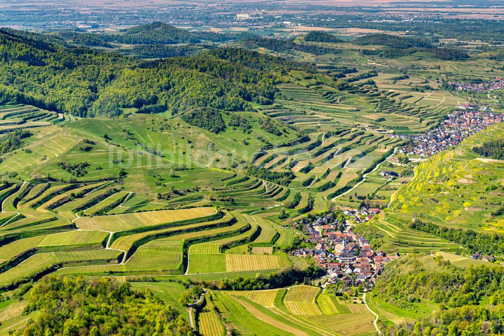 Luftaufnahme Vogtsburg im Kaiserstuhl - Wald und Berglandschaft und Weinbau am Kaiserstuhl im Bundesland Baden-Württemberg, Deutschland