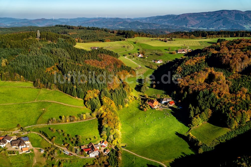 Luftaufnahme Freiamt - Wald und Felder mit Gehöften in Freiamt im Bundesland Baden-Württemberg, Deutschland