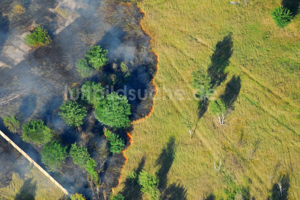 Jüterbog aus der Vogelperspektive: Waldbrand / Brand einer Waldfläche / Wald auf dem ehemaligen Schießplatz Altes Lager bei Jüterbog