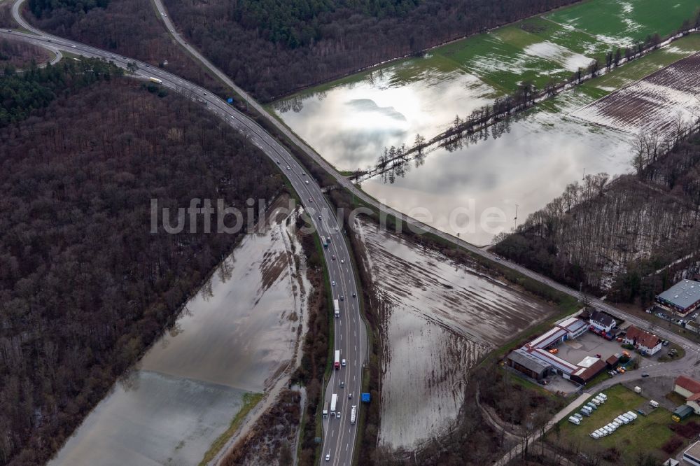 Kandel aus der Vogelperspektive: Waldgebiet Bienwald mit Land unter am Otterbach mit überschwemmten Wiesen an der A65 in Kandel im Bundesland Rheinland-Pfalz, Deutschland