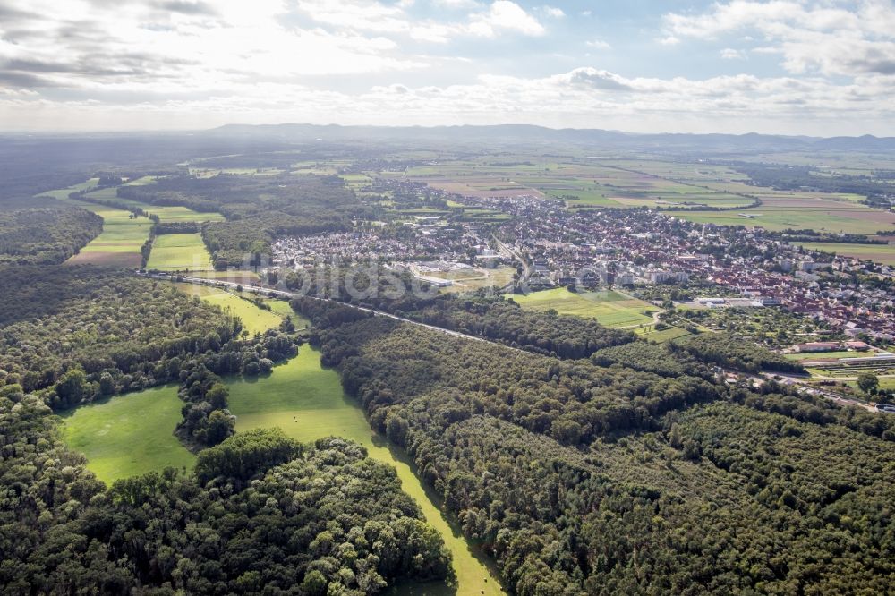 Luftaufnahme Kandel - Waldgebiet Bienwald, mit Wiesenlichtungen des Otterbachtals in Kandel im Bundesland Rheinland-Pfalz, Deutschland