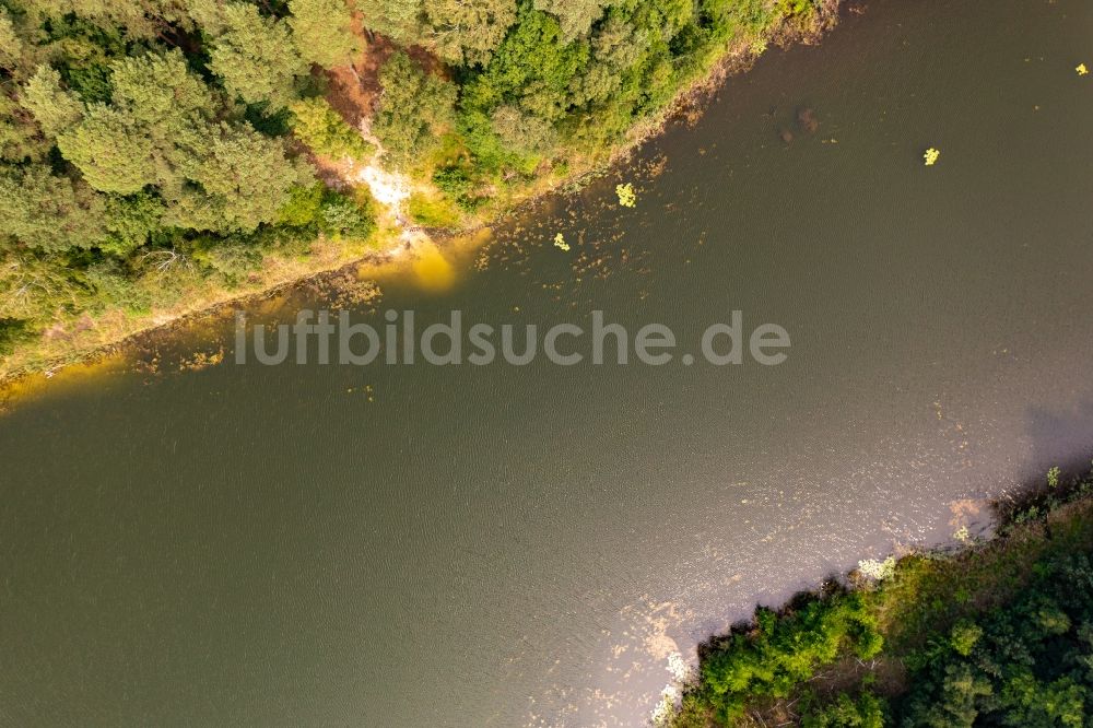 Luftbild Groß Dölln - Waldgebiete der Schorfheide am Ufer des Krummen Köllnsee bei Groß Dölln im Bundesland Brandenburg