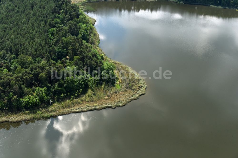 Luftbild Stechlin - Waldgebiete am Ufer des Kölpinsees in Stechlin im Bundesland Brandenburg