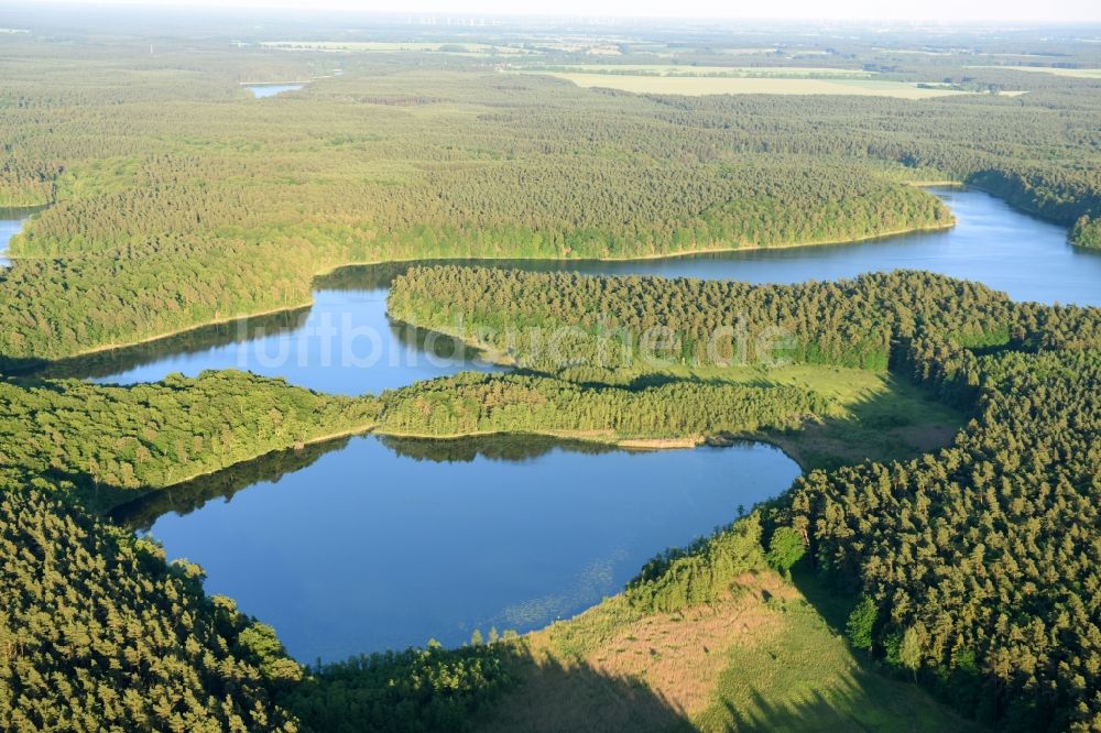 Luftbild Stechlin - Waldgebiete am Ufer des Nehmitzsees in Stechlin im Bundesland Brandenburg