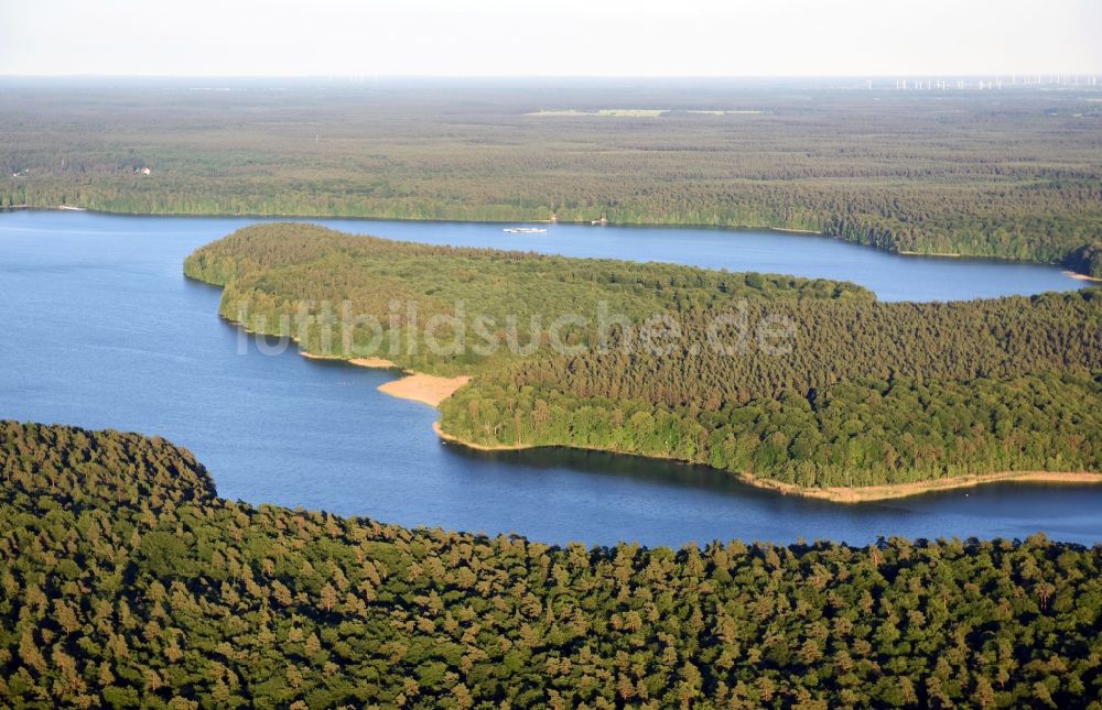 Luftaufnahme Stechlin - Waldgebiete am Ufer des Nehmitzsees in Stechlin im Bundesland Brandenburg