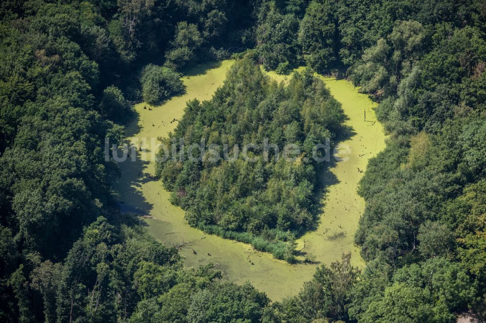 Luftbild Braunschweig - Waldgebiete am Ufer des See Bullenteich in Braunschweig im Bundesland Niedersachsen, Deutschland