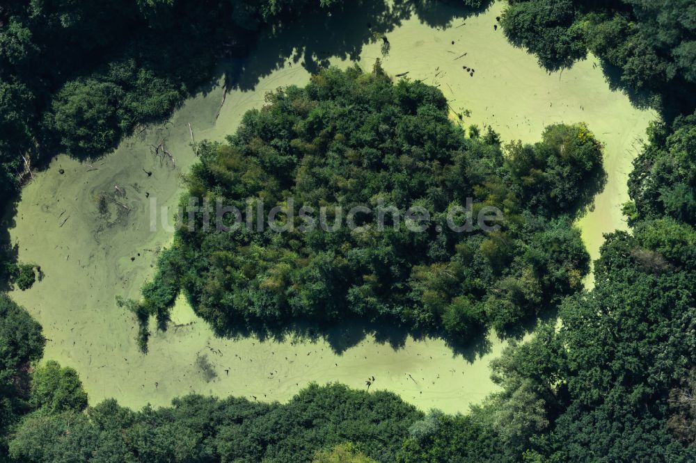 Luftaufnahme Braunschweig - Waldgebiete am Ufer des See Bullenteich in Braunschweig im Bundesland Niedersachsen, Deutschland