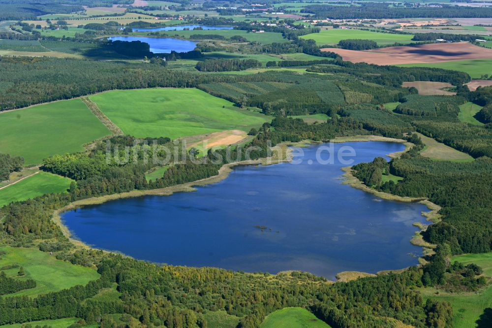 Luftaufnahme Kobrow - Waldgebiete am Ufer des See Dannhusener See in Kobrow im Bundesland Mecklenburg-Vorpommern, Deutschland