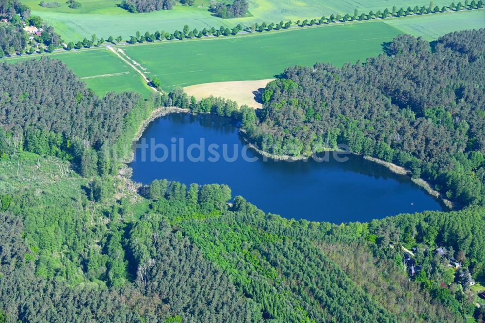 Biesenthal von oben - Waldgebiete am Ufer des See Dewinsee in Biesenthal im Bundesland Brandenburg, Deutschland