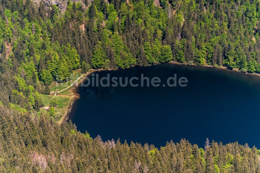 Luftbild Feldberg (Schwarzwald) - Waldgebiete am Ufer des See Feldsee in Feldberg (Schwarzwald) im Bundesland Baden-Württemberg, Deutschland