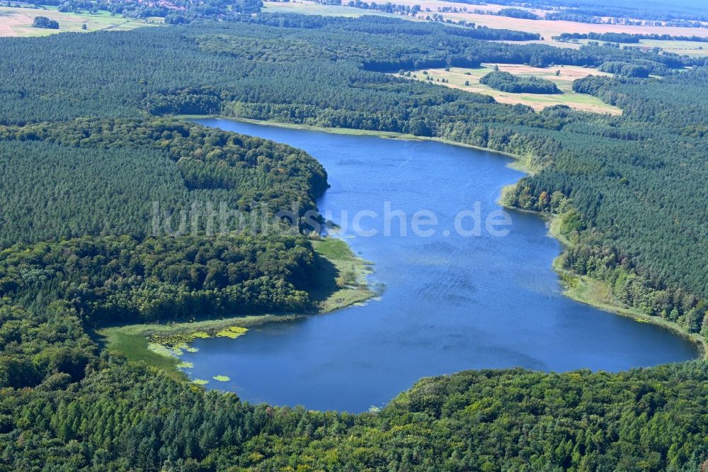 Kagar aus der Vogelperspektive: Waldgebiete am Ufer des See Großer Pätschsee in Kagar im Bundesland Brandenburg, Deutschland