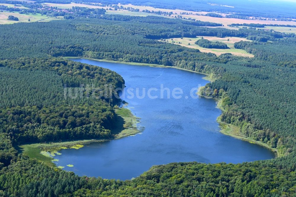 Luftbild Kagar - Waldgebiete am Ufer des See Großer Pätschsee in Kagar im Bundesland Brandenburg, Deutschland