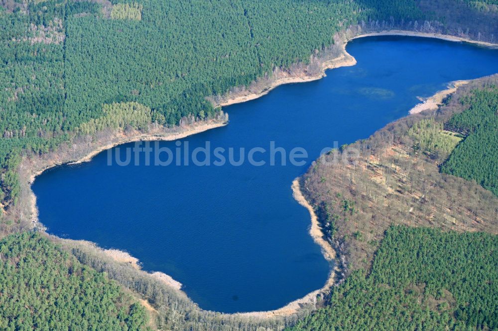 Luftaufnahme Kagar - Waldgebiete am Ufer des See Großer Pätschsee in Kagar im Bundesland Brandenburg, Deutschland