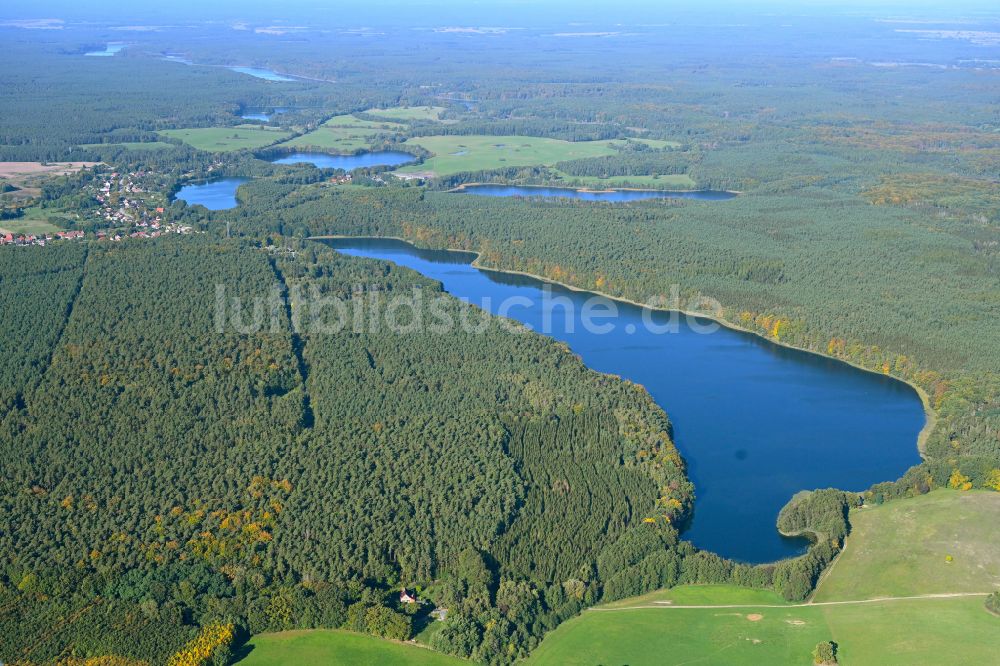 Warthe von oben - Waldgebiete am Ufer des See Großer Warthesee in Warthe im Bundesland Brandenburg, Deutschland