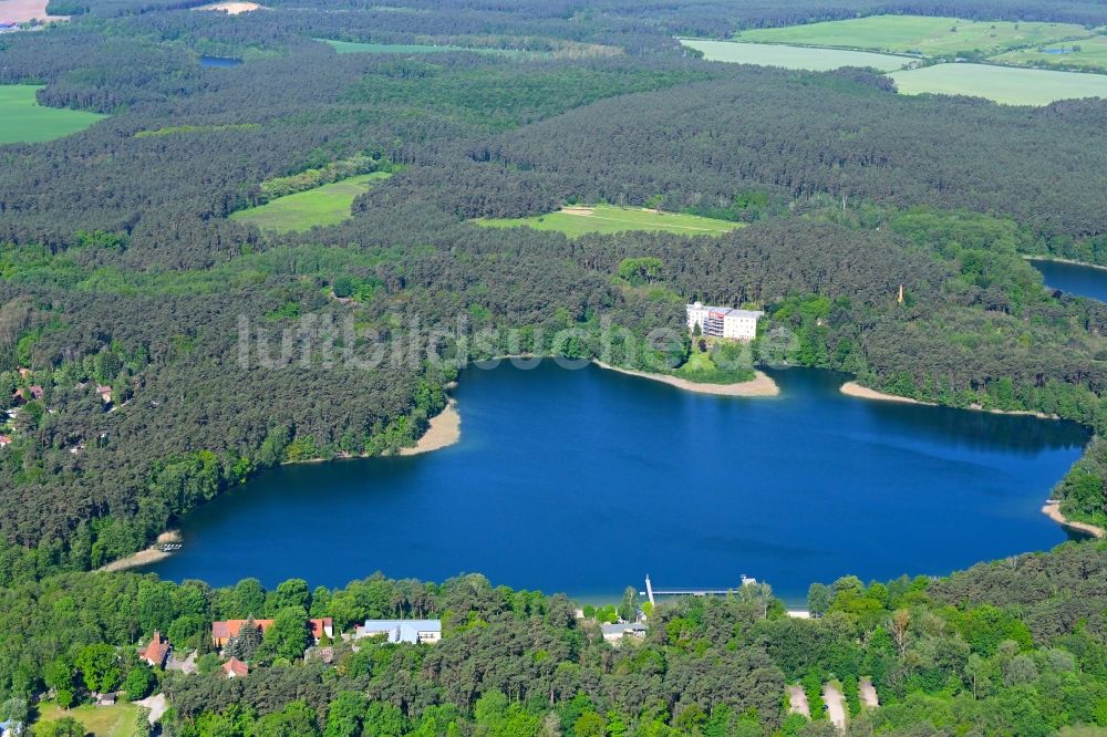 Luftbild Biesenthal - Waldgebiete am Ufer des See Großer Wukensee in Biesenthal im Bundesland Brandenburg, Deutschland