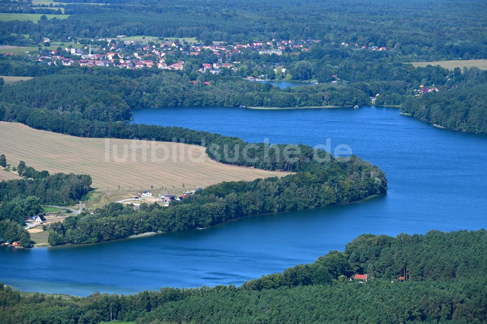 Luftaufnahme Flecken Zechlin - Waldgebiete am Ufer des See Großer Zechliner See in Flecken Zechlin im Bundesland Brandenburg, Deutschland