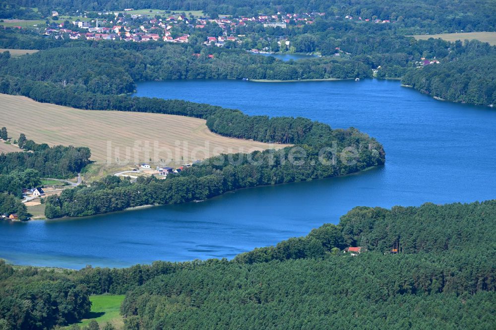 Flecken Zechlin von oben - Waldgebiete am Ufer des See Großer Zechliner See in Flecken Zechlin im Bundesland Brandenburg, Deutschland