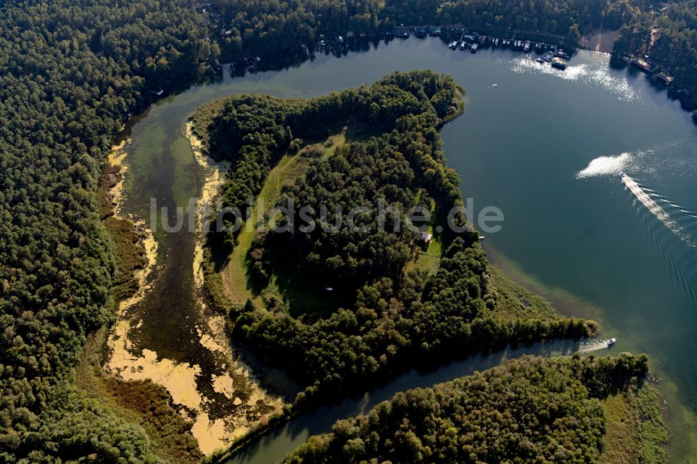 Luhme aus der Vogelperspektive: Waldgebiete am Ufer des See Großer Zechliner See in Luhme im Bundesland Brandenburg, Deutschland