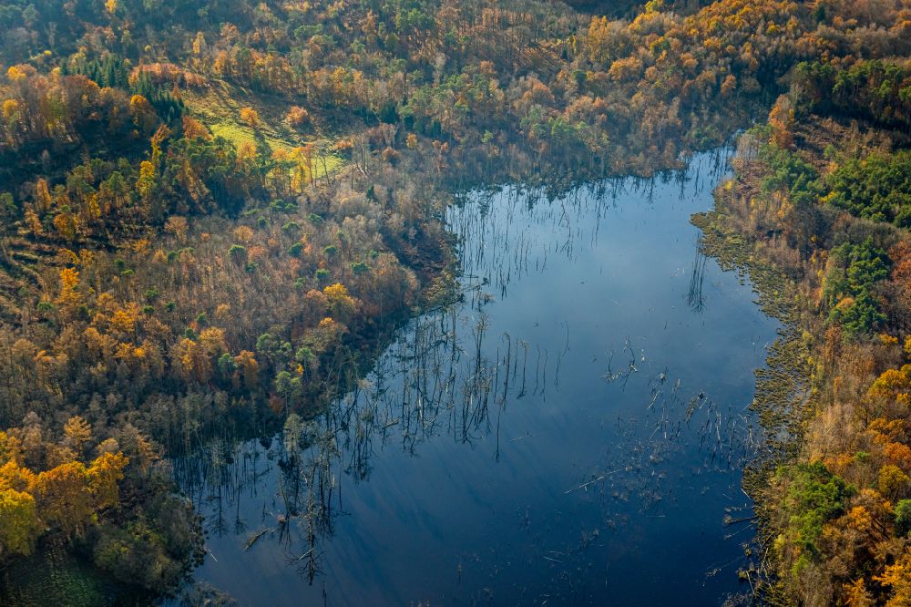 Bottrop aus der Vogelperspektive: Waldgebiete am Ufer des See Heidesee in Bottrop im Bundesland Nordrhein-Westfalen, Deutschland