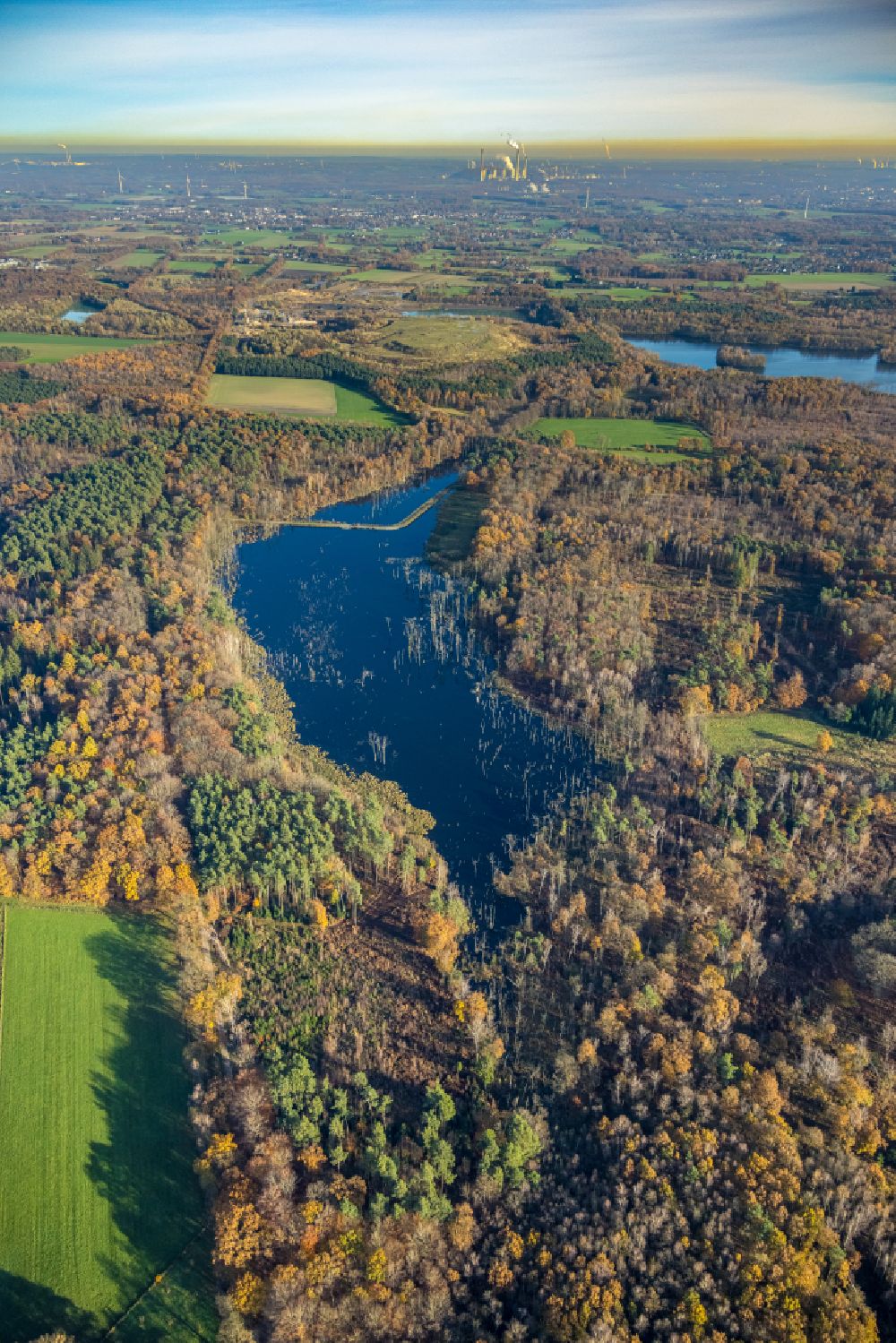 Luftbild Bottrop - Waldgebiete am Ufer des See Heidesee in Bottrop im Bundesland Nordrhein-Westfalen, Deutschland