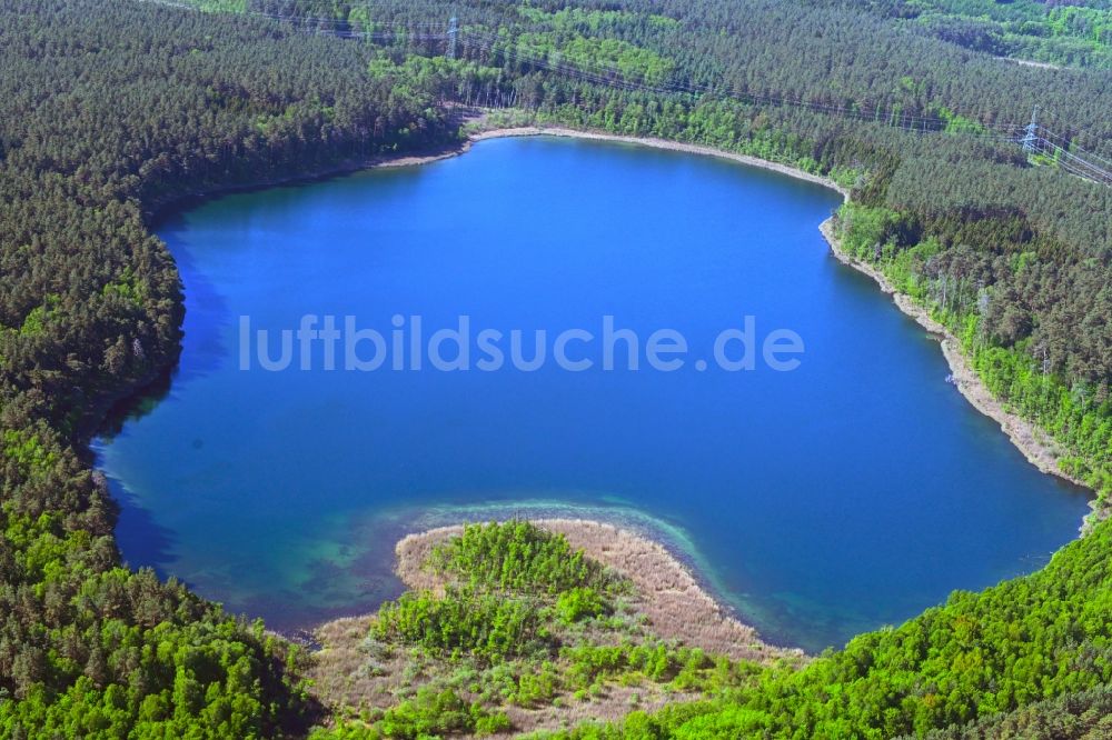 Luftbild Fürstensee - Waldgebiete am Ufer des See Kleiner Keetzsee in Fürstensee im Bundesland Mecklenburg-Vorpommern, Deutschland