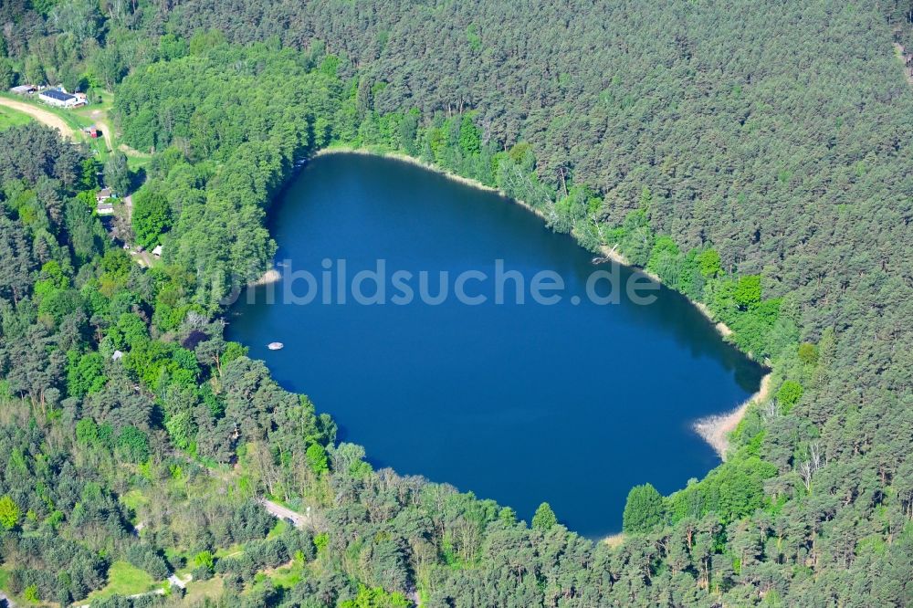 Luftaufnahme Biesenthal - Waldgebiete am Ufer des See Kleiner Wukensee in Biesenthal im Bundesland Brandenburg, Deutschland