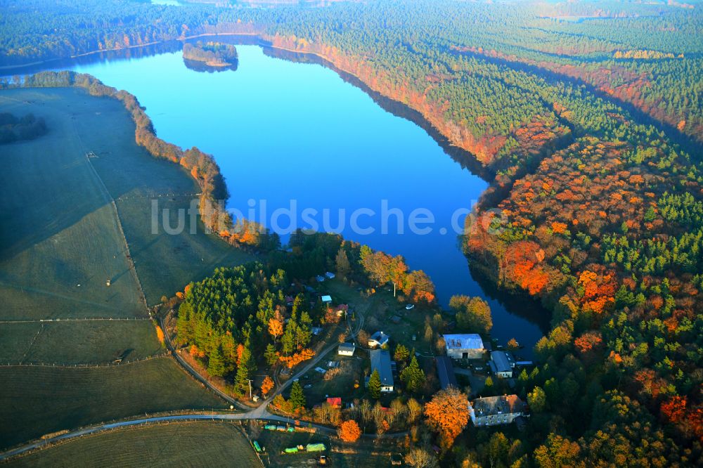 Krüselin von oben - Waldgebiete am Ufer des See Krüselinsee in Krüselin im Bundesland Mecklenburg-Vorpommern, Deutschland