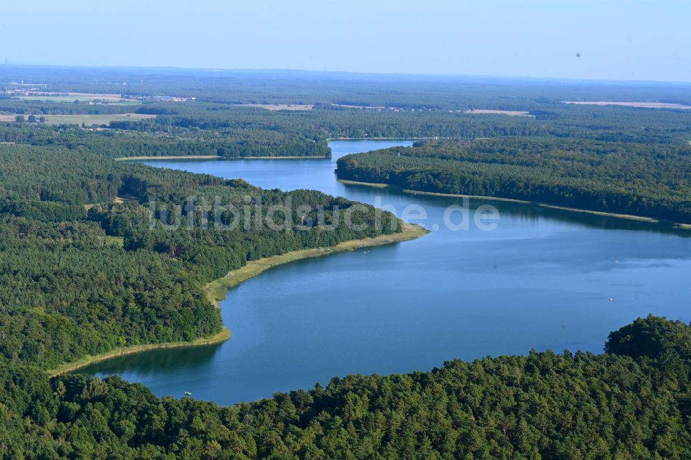 Luftaufnahme Templin - Waldgebiete am Ufer des See Lübbesee in Templin im Bundesland Brandenburg, Deutschland