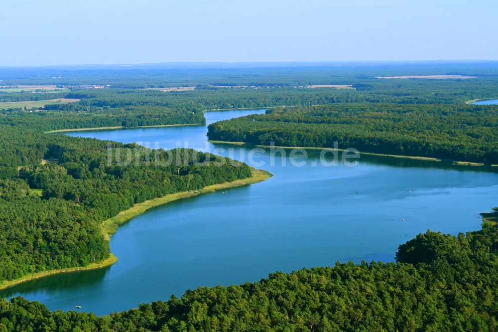 Templin von oben - Waldgebiete am Ufer des See Lübbesee in Templin im Bundesland Brandenburg, Deutschland