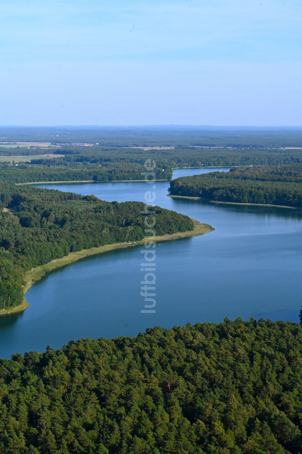 Templin aus der Vogelperspektive: Waldgebiete am Ufer des See Lübbesee in Templin im Bundesland Brandenburg, Deutschland