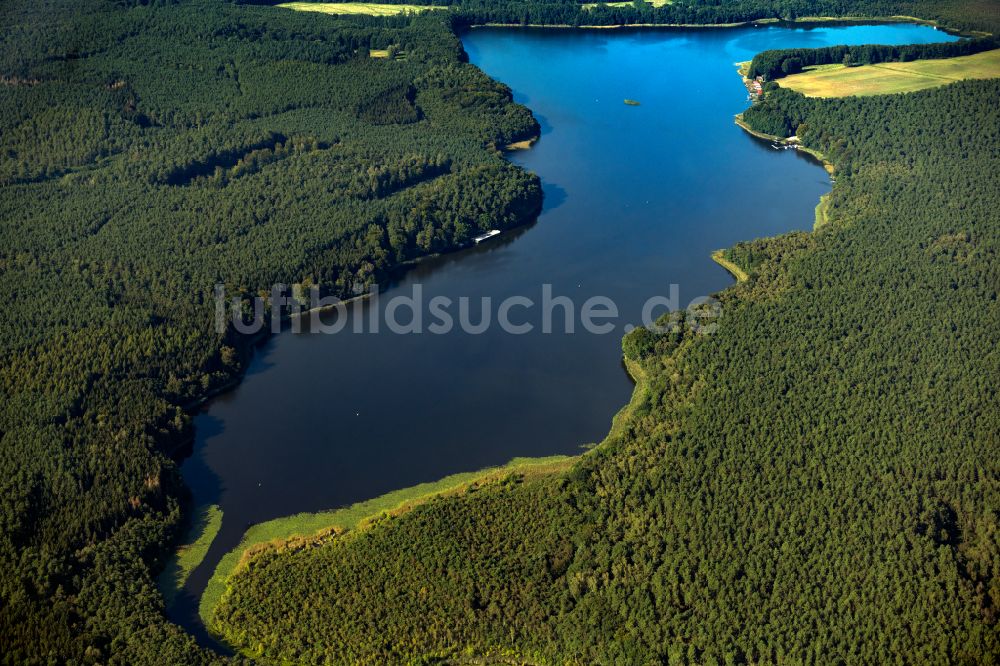 Luftbild Roggentin - Waldgebiete am Ufer des See Leppinsee in Roggentin im Bundesland Mecklenburg-Vorpommern