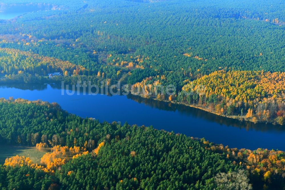 Rutenberg von oben - Waldgebiete am Ufer des See Linowsee in Rutenberg im Bundesland Mecklenburg-Vorpommern, Deutschland
