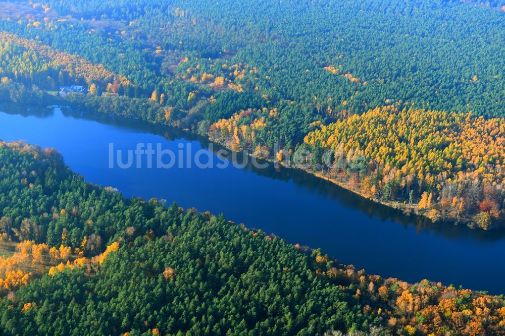 Rutenberg aus der Vogelperspektive: Waldgebiete am Ufer des See Linowsee in Rutenberg im Bundesland Mecklenburg-Vorpommern, Deutschland