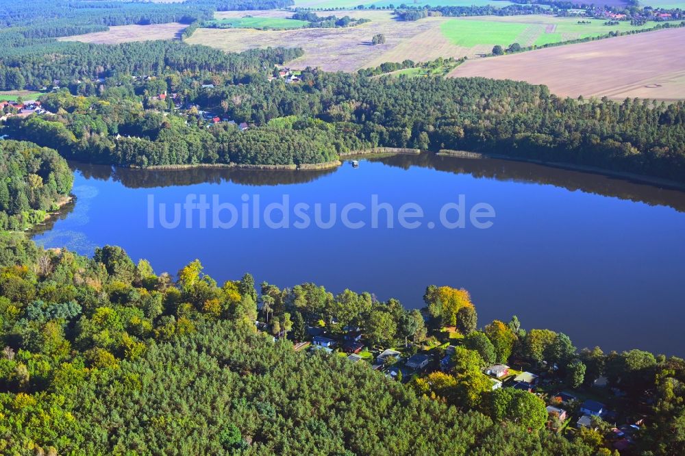 Luftbild Molchow - Waldgebiete am Ufer des See Molchowsee in Molchow im Bundesland Brandenburg, Deutschland