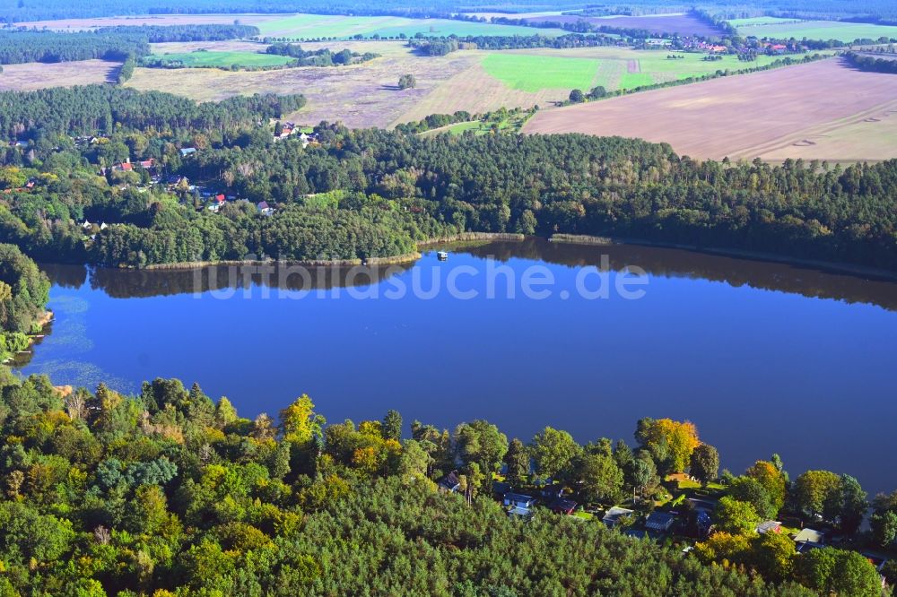 Luftaufnahme Molchow - Waldgebiete am Ufer des See Molchowsee in Molchow im Bundesland Brandenburg, Deutschland