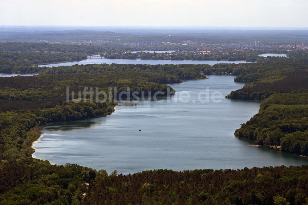 Luftbild Potsdam - Waldgebiete am Ufer des See Sacrower See im Königswald in Potsdam im Bundesland Brandenburg, Deutschland