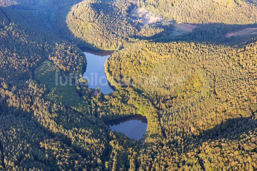 Luftbild Erlenbach bei Dahn - Waldgebiete am Ufer des See Seehofer-Weiher in Erlenbach bei Dahn im Bundesland Rheinland-Pfalz, Deutschland