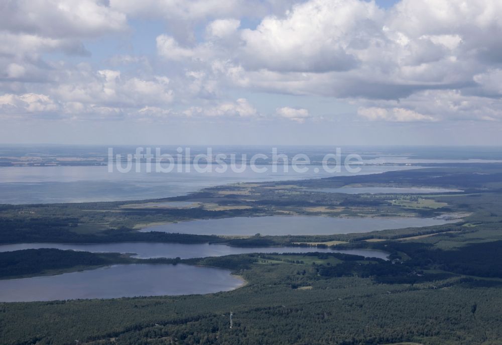 Rechlin von oben - Waldgebiete am Ufer des See Specker See - Hofsee - Müritz in Rechlin im Bundesland Mecklenburg-Vorpommern