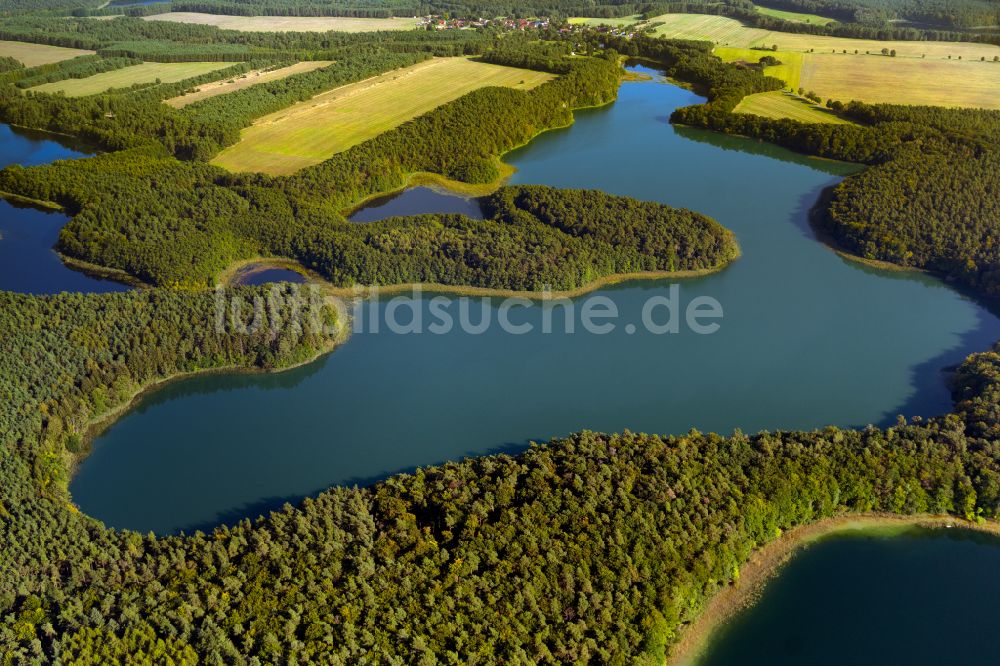 Flecken Zechlin von oben - Waldgebiete am Ufer des See Twernsee in Flecken Zechlin im Bundesland Brandenburg, Deutschland