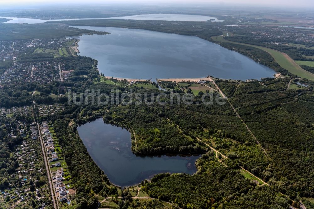 Luftbild Markkleeberg - Waldgebiete am Ufer des See Waldsee Lauer in Markkleeberg im Bundesland Sachsen, Deutschland