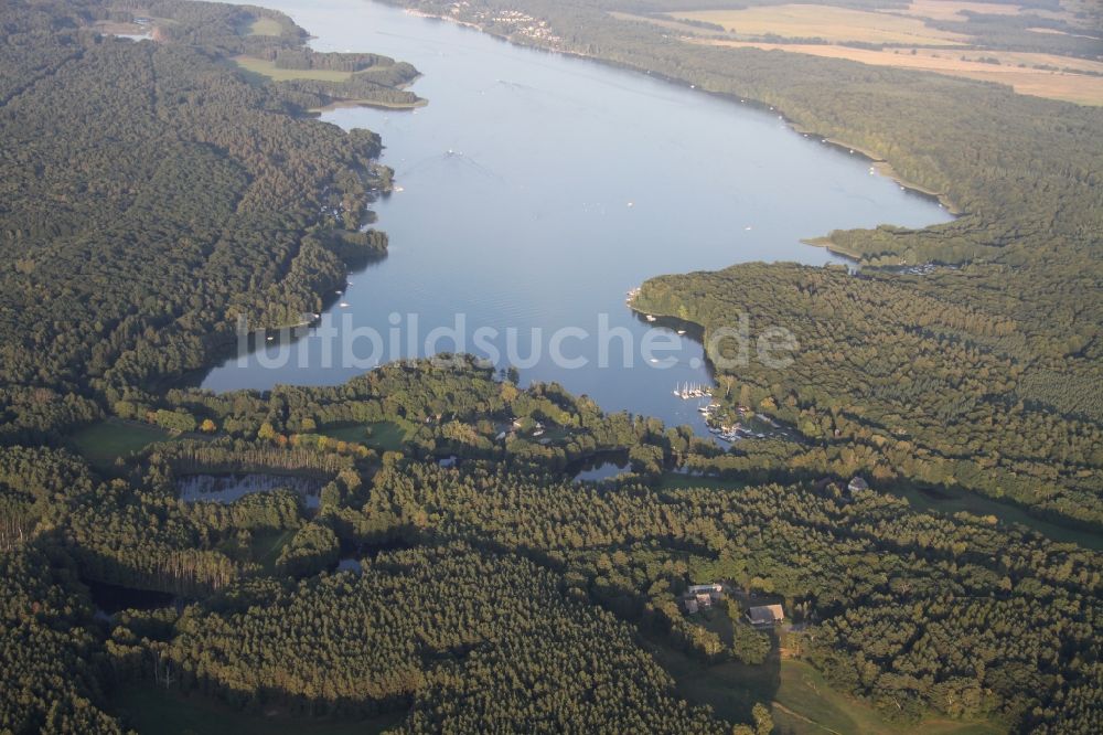 Luftbild Wildau - Waldgebiete am Ufer des See Werbellinsee in Wildau im Bundesland Brandenburg
