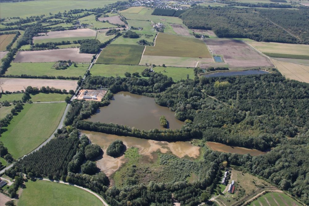 Luftbild Montreuil-sur-Loir - Waldgebiete am Ufer eines Sees bei Montreuil-sur-Loir in Pays de la Loire, Frankreich