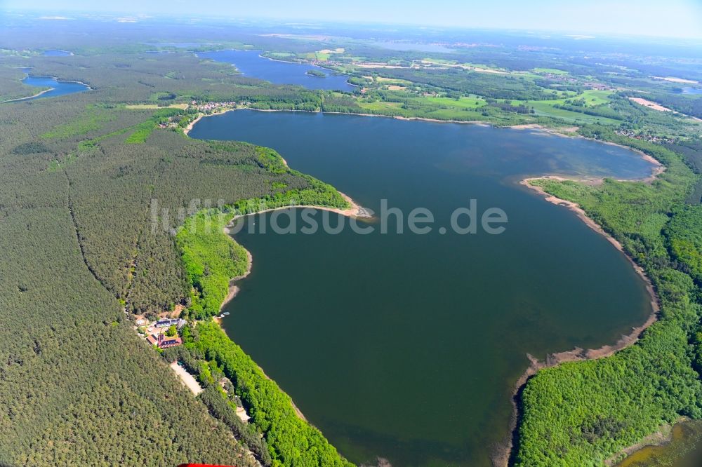 Klein Quassow aus der Vogelperspektive: Waldgebiete am Ufer des Sees Großer Labussee in Klein Quassow im Bundesland Mecklenburg-Vorpommern, Deutschland
