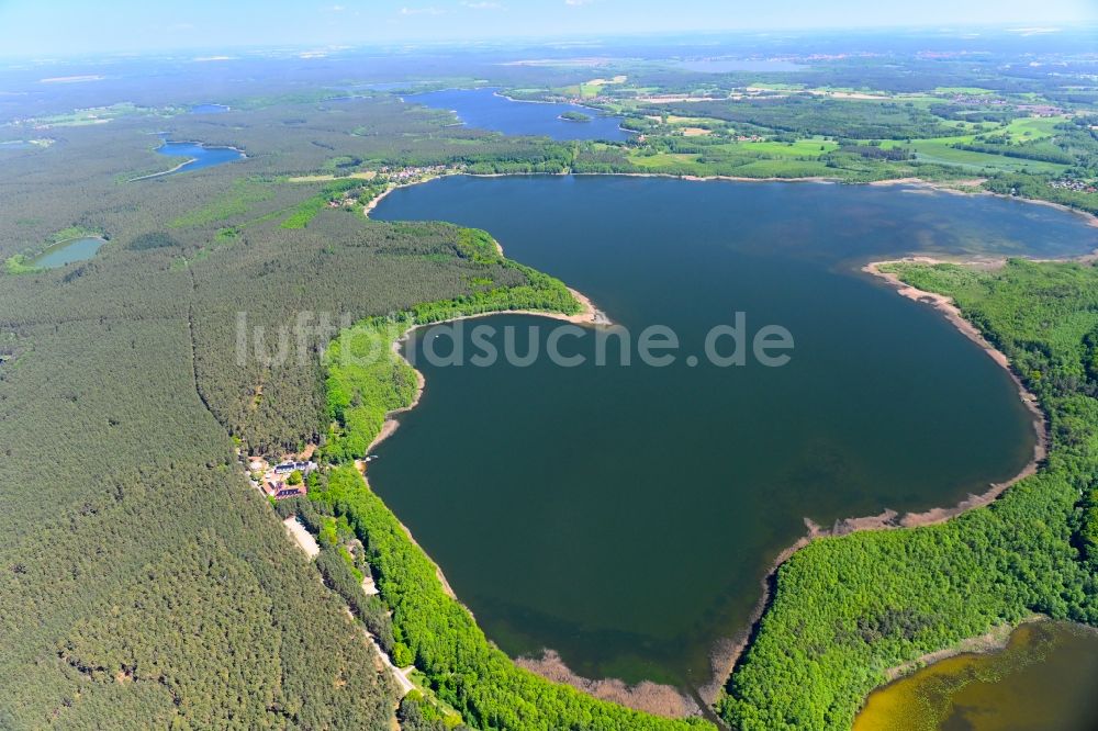 Luftbild Klein Quassow - Waldgebiete am Ufer des Sees Großer Labussee in Klein Quassow im Bundesland Mecklenburg-Vorpommern, Deutschland