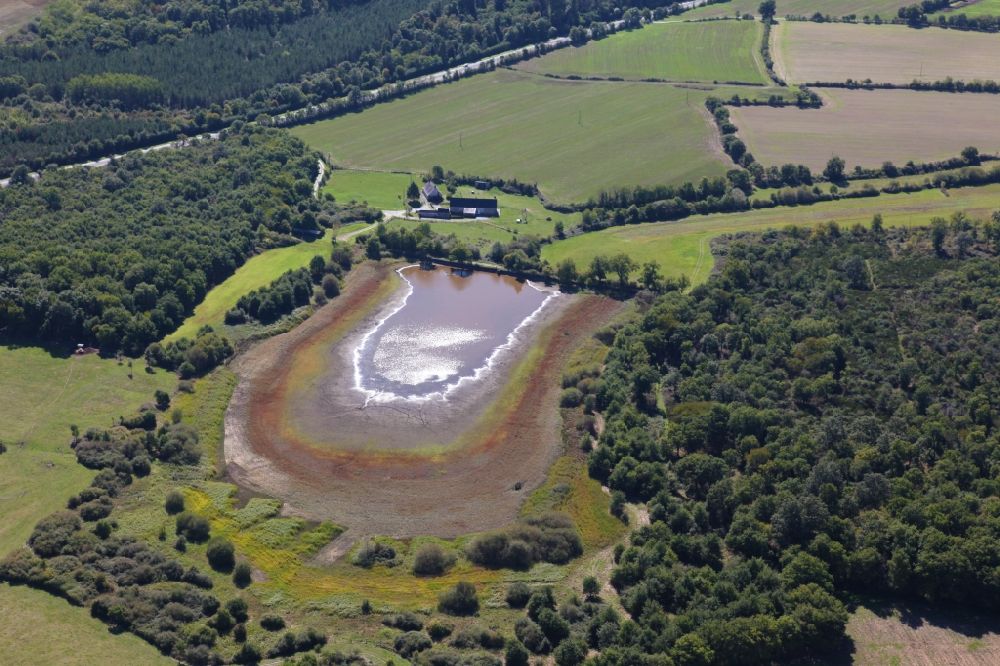 Luftaufnahme Saint-Georges-sur-Loire - Waldgebiete am Ufer eines Sees in Saint-Georges-sur-Loire in Pays de la Loire, Frankreich