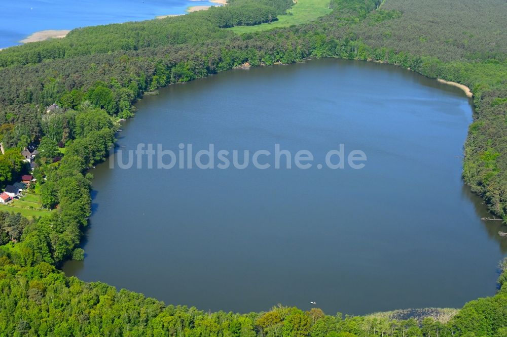Himmelpfort aus der Vogelperspektive: Waldgebiete am Ufer des Sees Sidowsee in Himmelpfort im Bundesland Brandenburg, Deutschland
