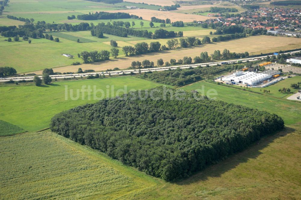 Luftbild Linthe - Waldquadrat bei Linthe in Brandenburg